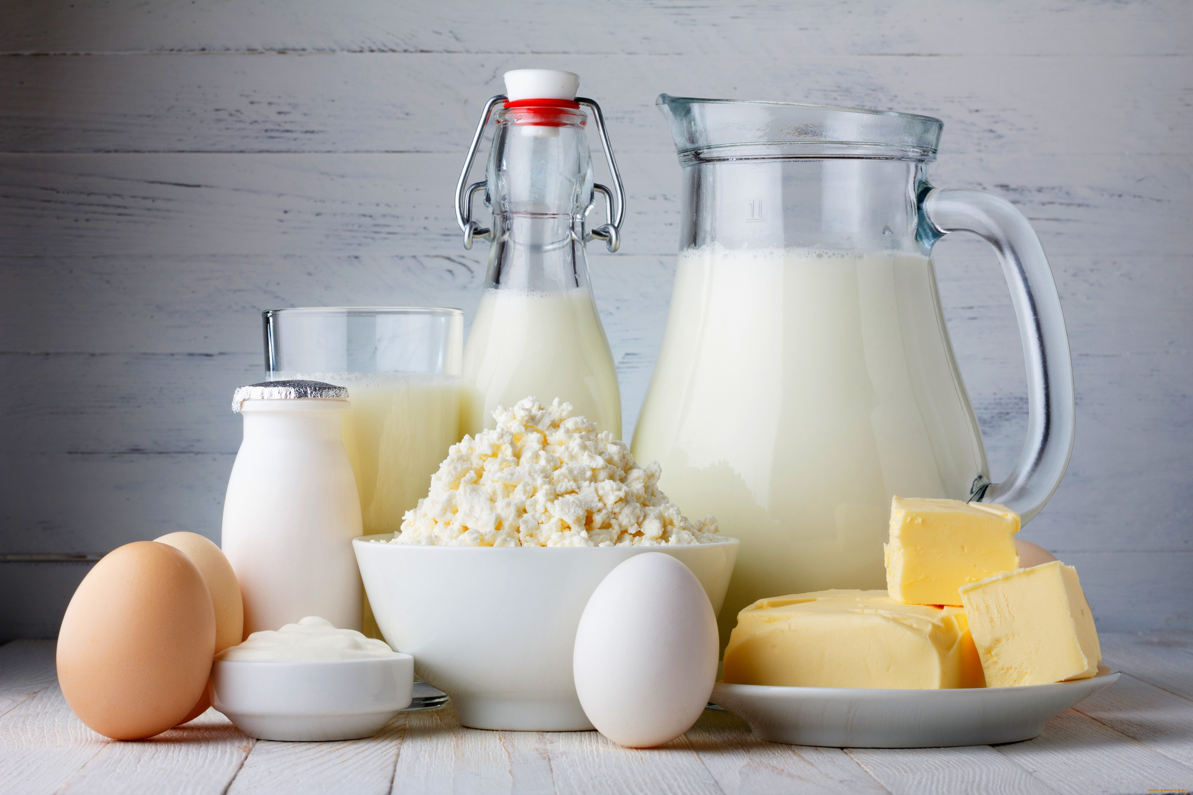 Молоко и кисломолочные продукты в питании детей до года Молоко и кисломолочные продукты в питании детей до года